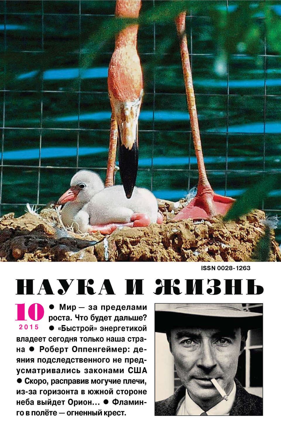 Обложка книги «Наука и жизнь №10/2015»