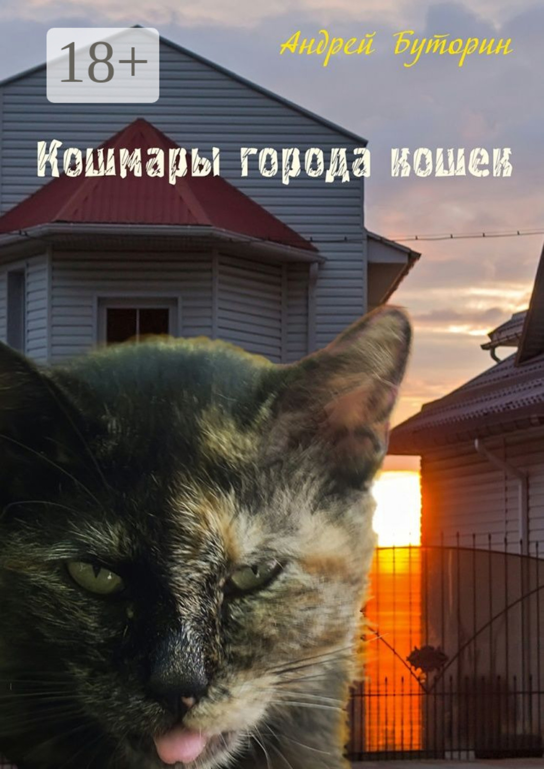 Обложка книги «Кошмары города кошек. Мистические повести»