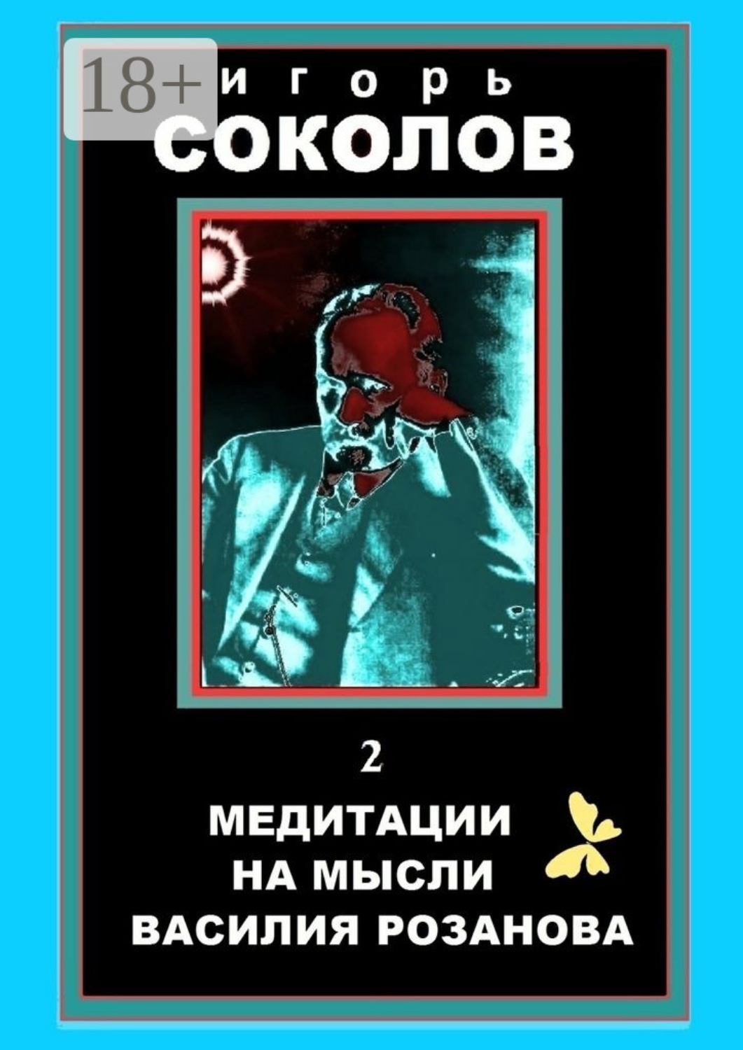 Обложка книги «Медитации на мысли Василия Розанова. том 2»