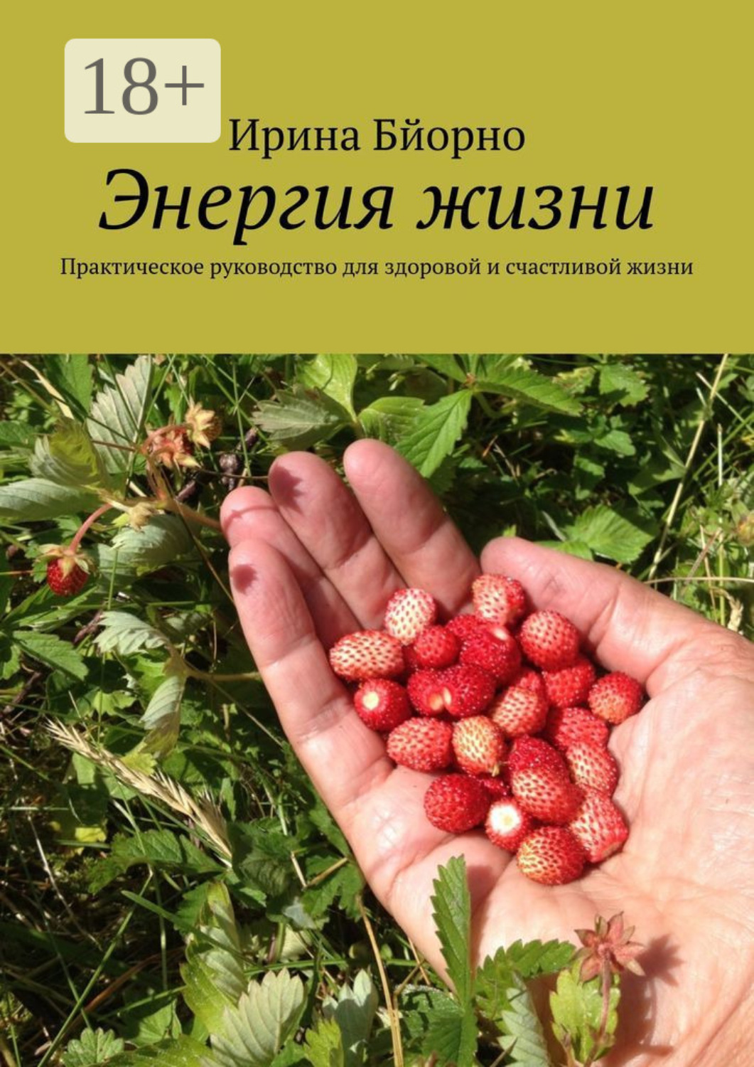 Обложка книги «Энергия жизни. Практическое руководство для здоровой и счастливой жизни»