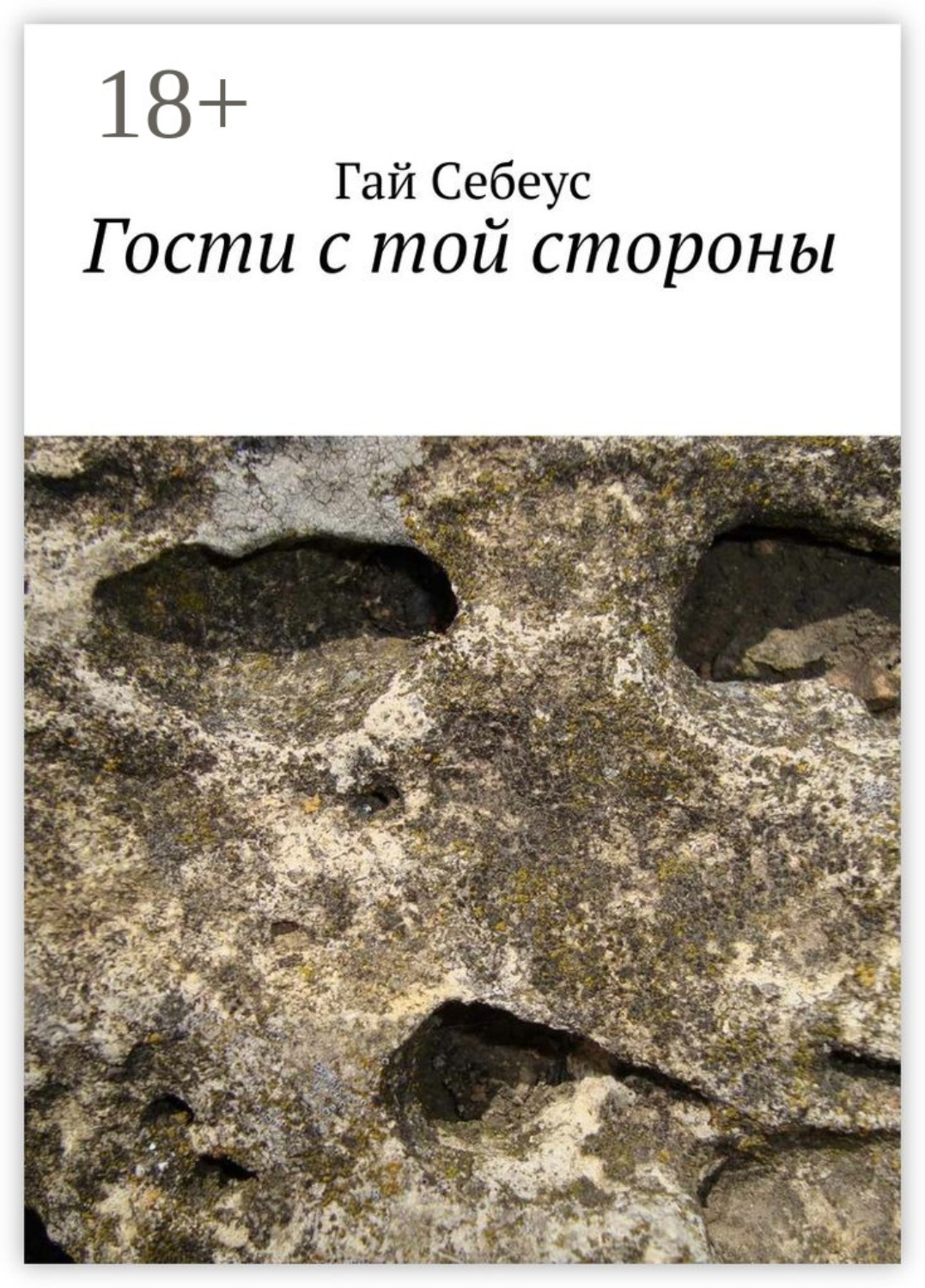 Обложка книги «Гости с той стороны»
