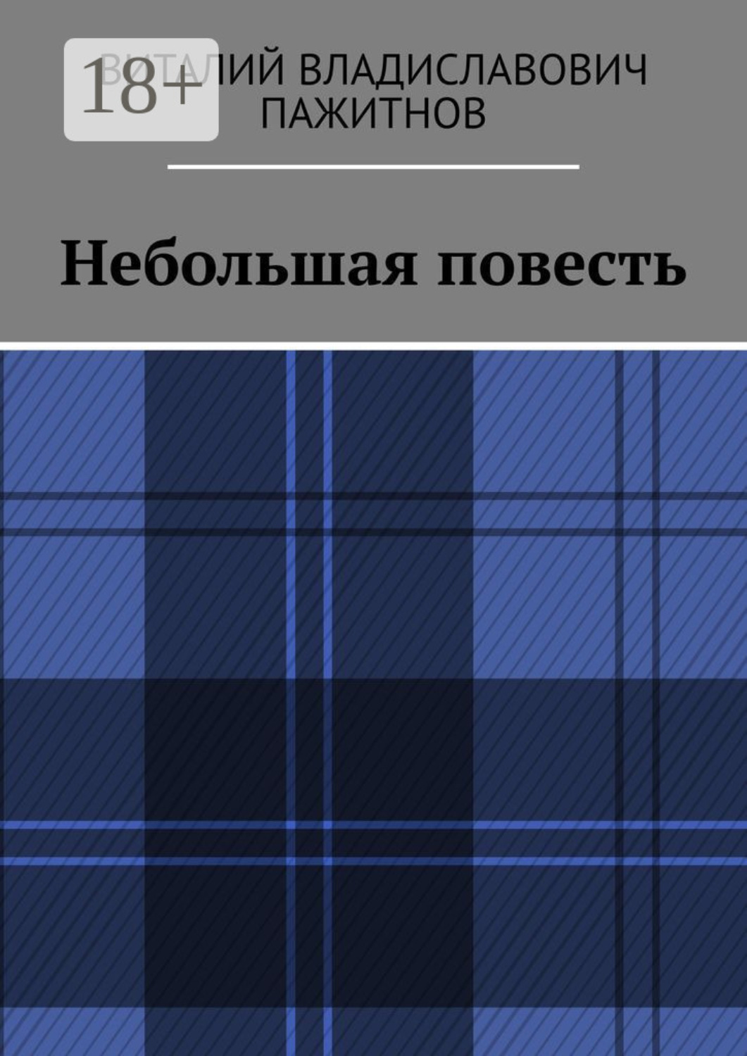 Обложка книги «Небольшая повесть»