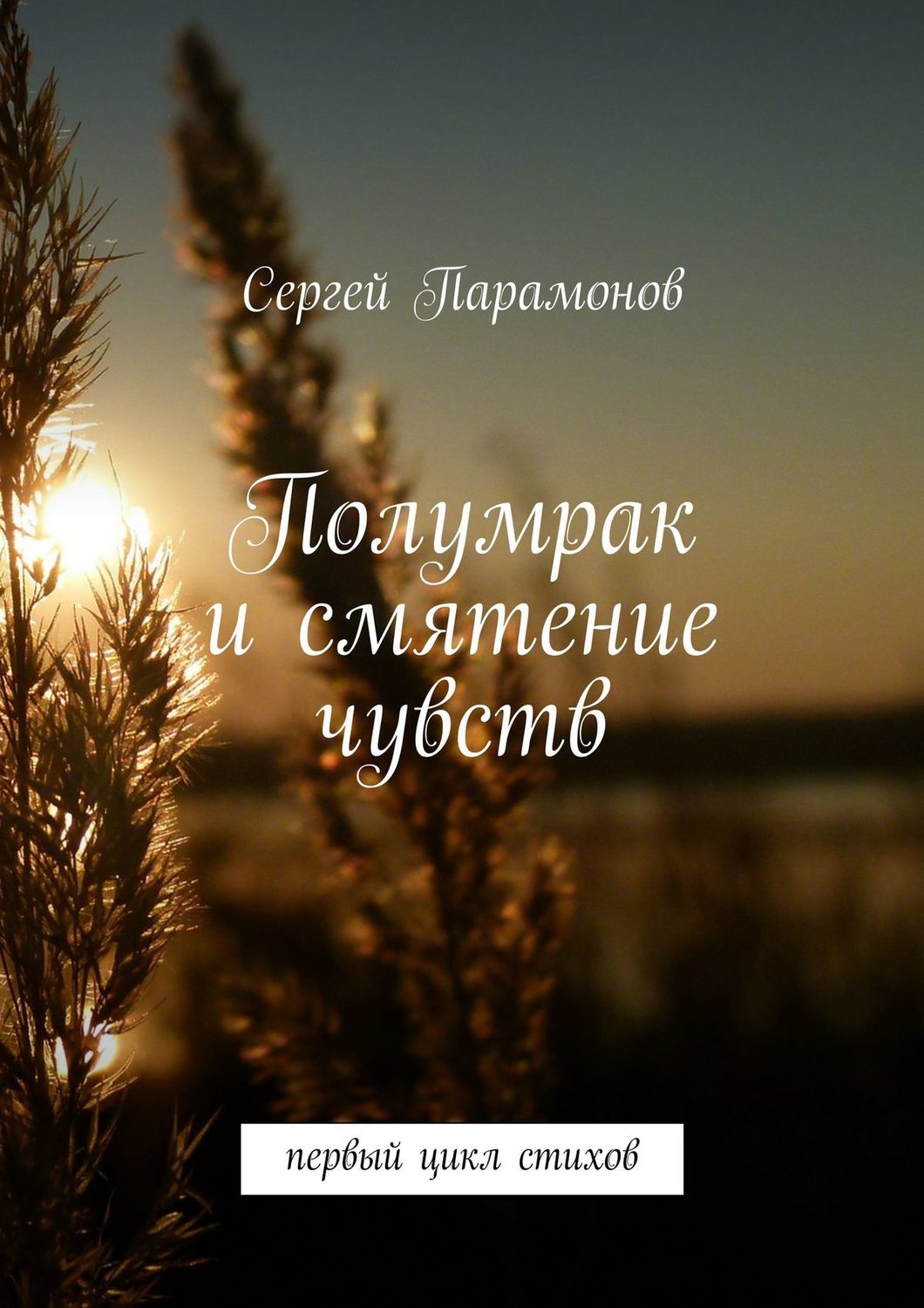 Обложка книги «Полумрак и смятение чувств. Первый цикл стихов»