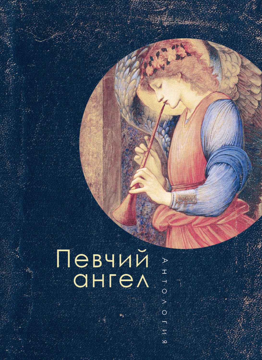 Обложка книги «Певчий ангел»
