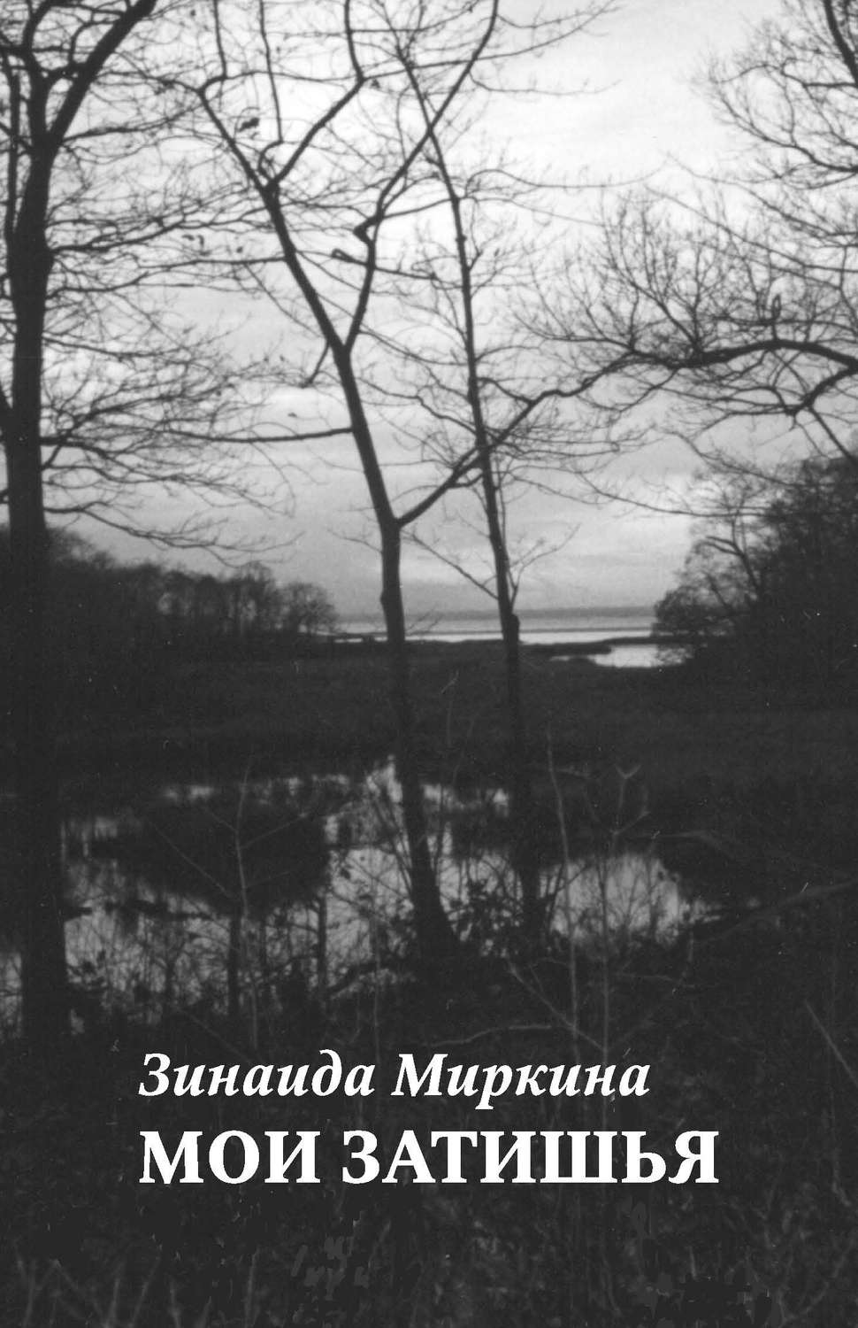 Обложка книги «Мои затишья»