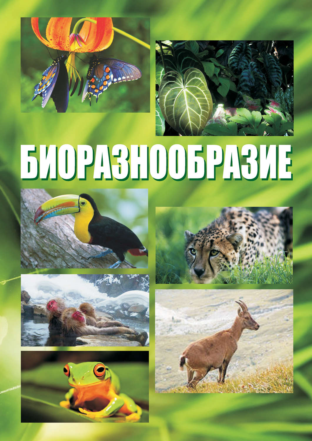 Обложка книги «Биоразнообразие. Курс лекций»