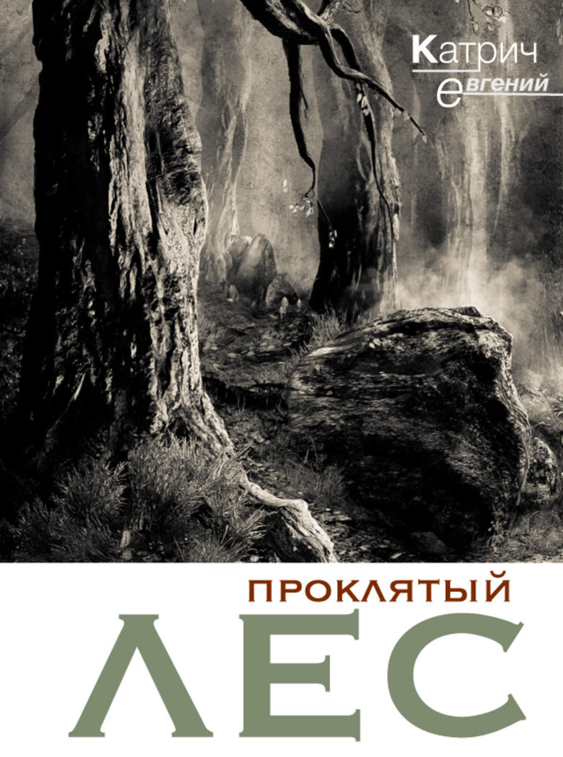 Обложка книги «Проклятый лес»