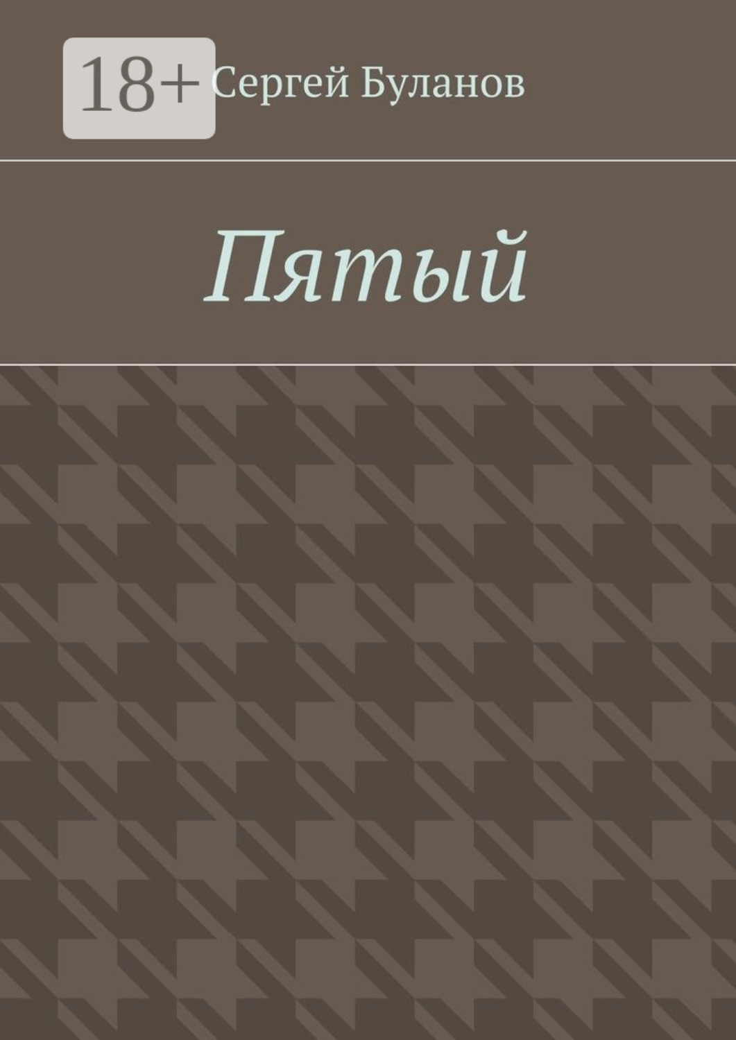 Обложка книги «Пятый»