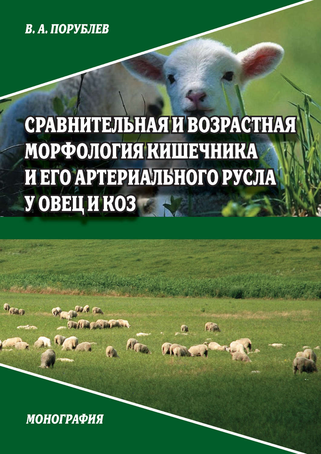 Обложка книги «Сравнительная и возрастная морфология кишечника и его артериального русла у овец и коз»