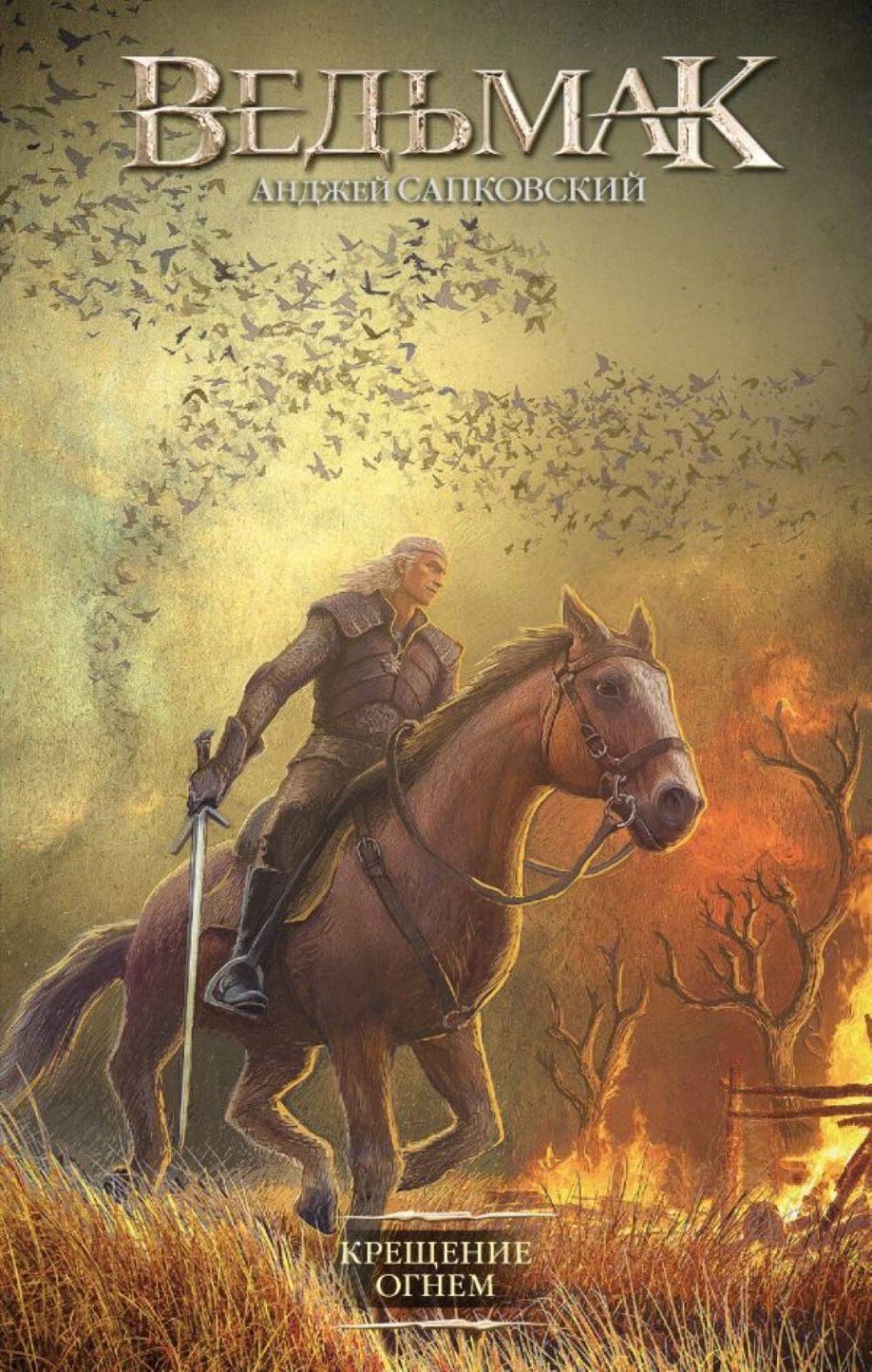 Обложка книги «Крещение огнем»