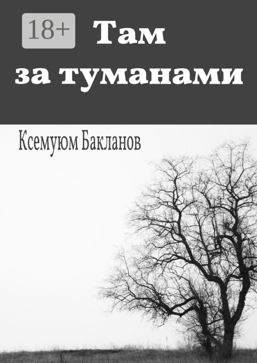 Обложка книги «Там за туманами. Балтийские грёзы. Часть 1»