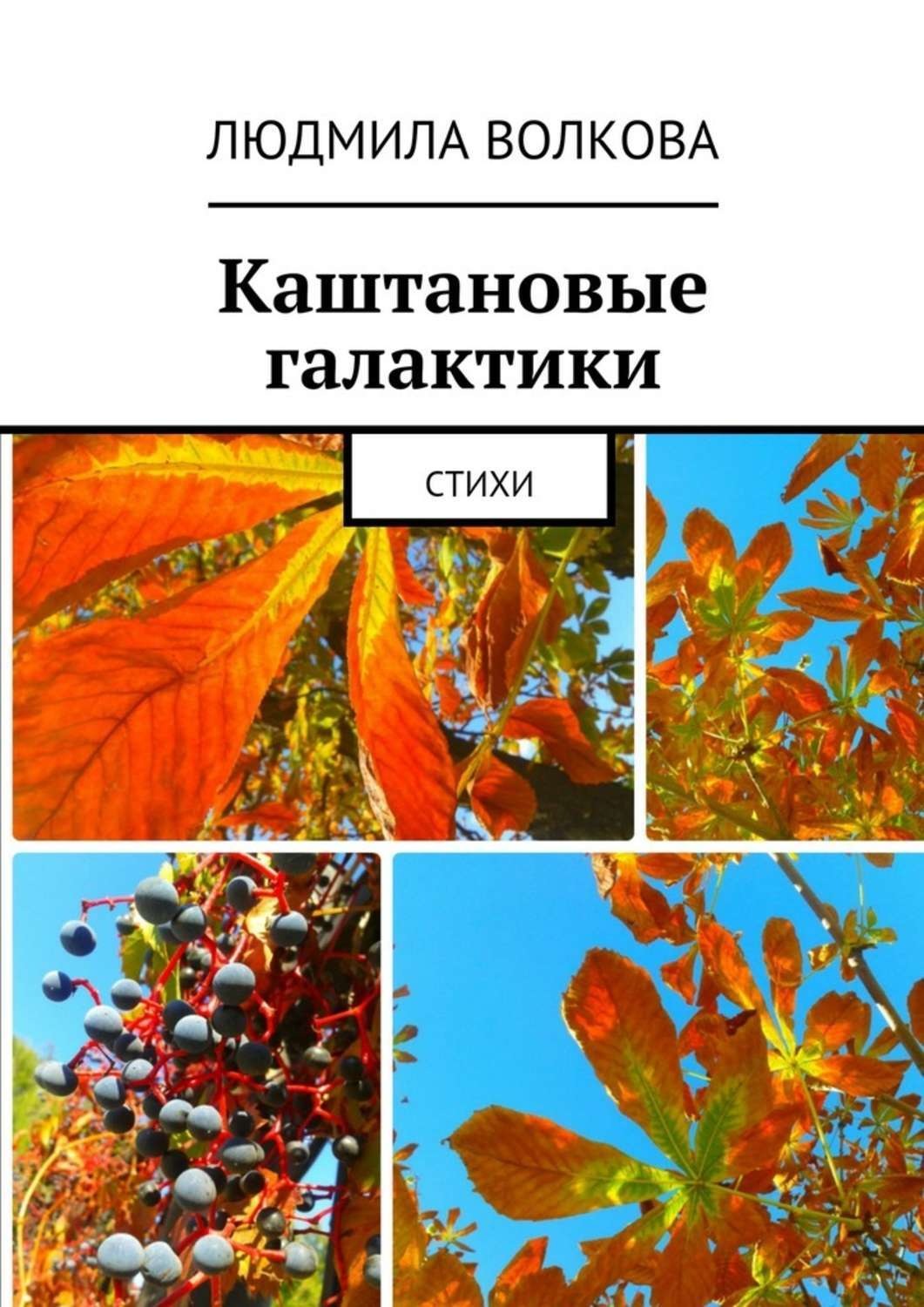 Обложка книги «Каштановые галактики. стихи»