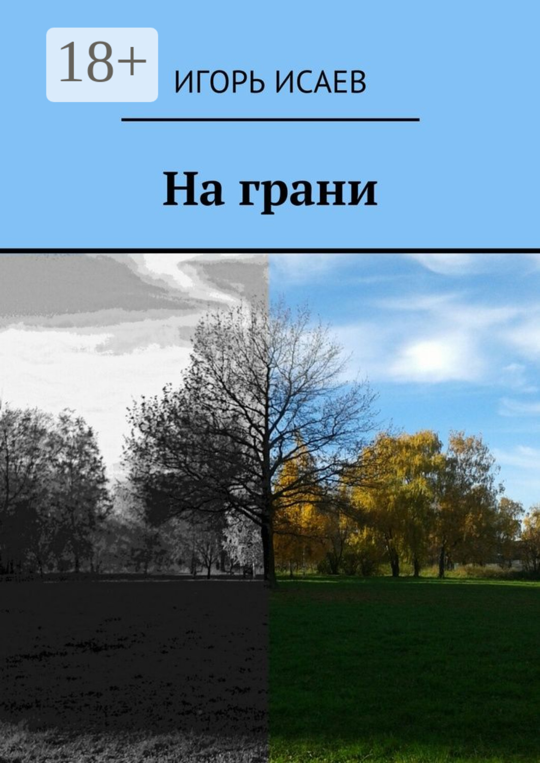 Обложка книги «На грани»