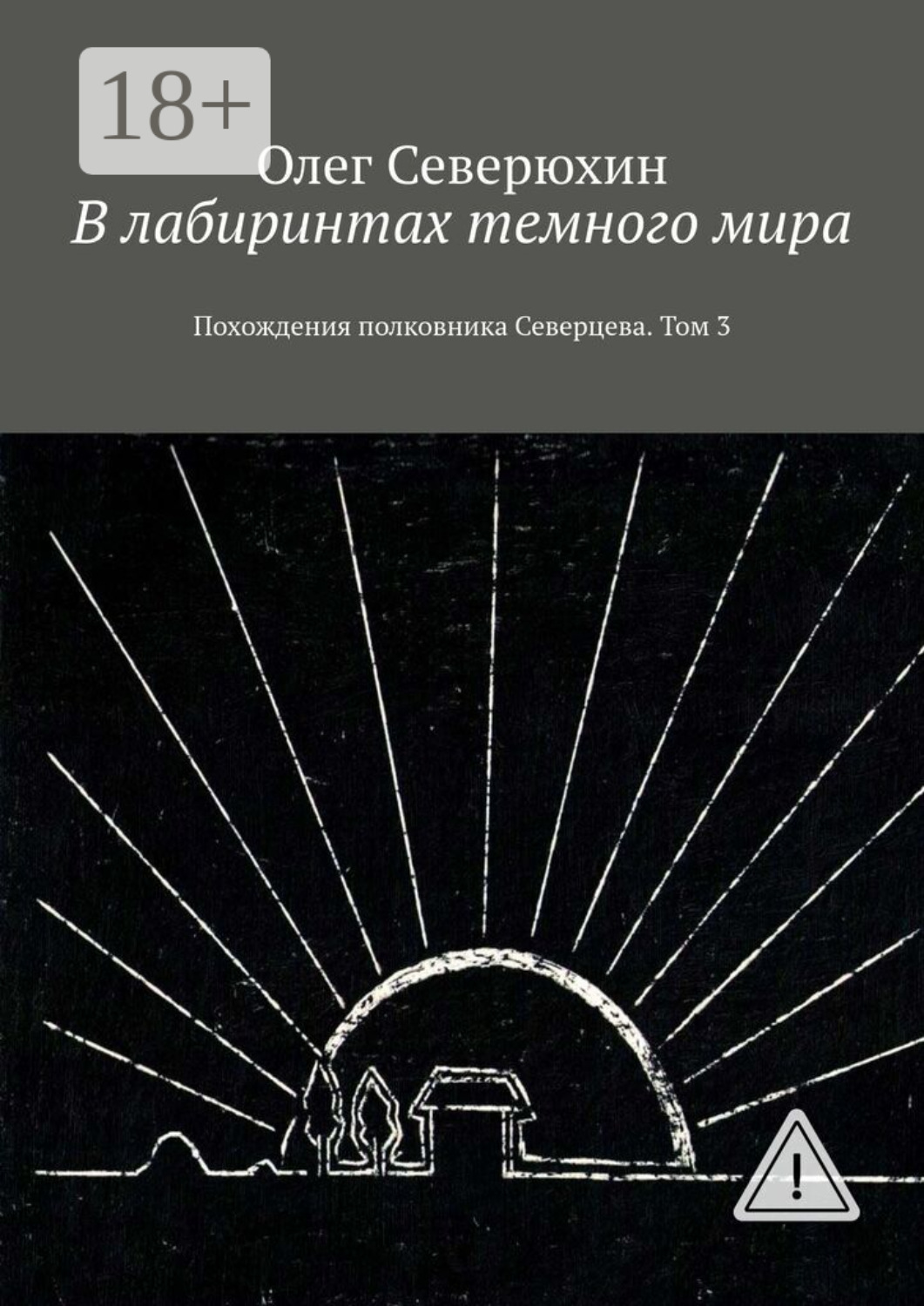 Обложка книги «В лабиринтах темного мира. Похождения полковника Северцева. Том 3»