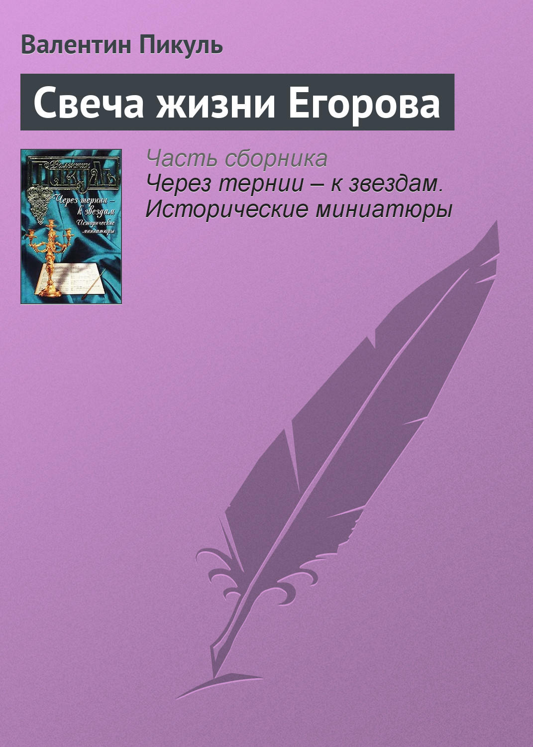 Обложка книги «Свеча жизни Егорова»