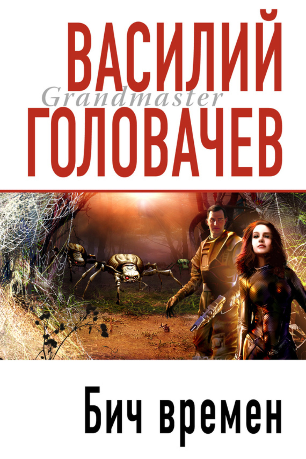 Обложка книги «Бич времен»