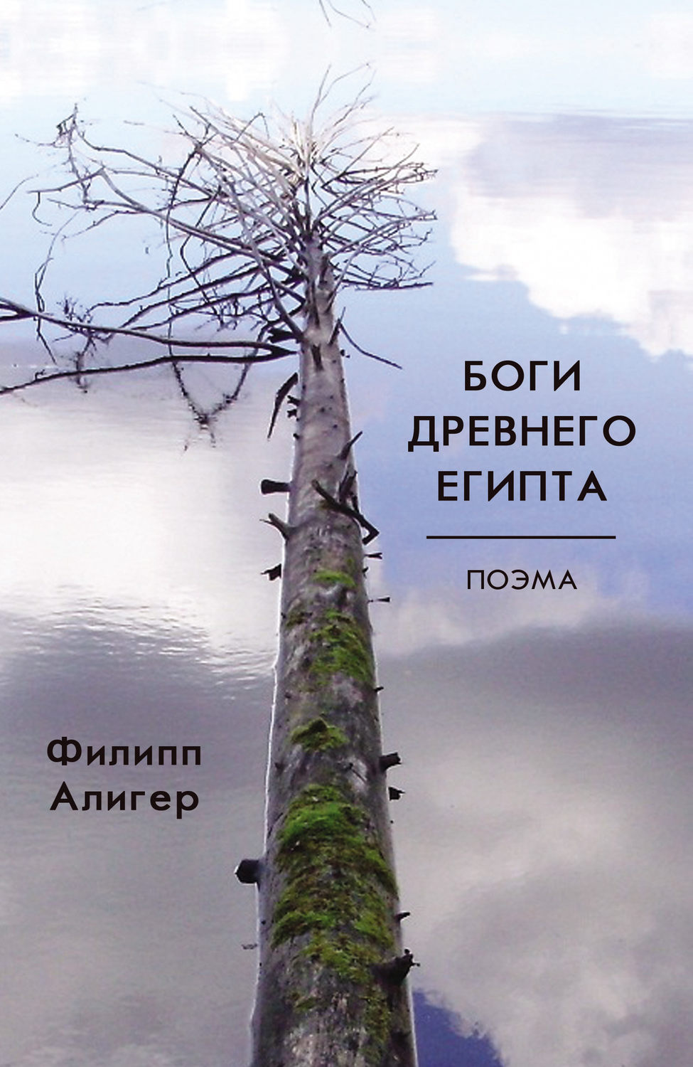 Обложка книги «Боги Древнего Египта»