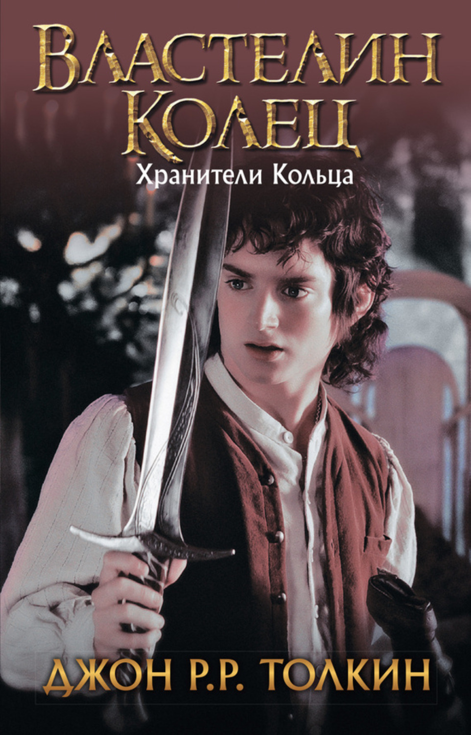 Обложка книги «Хранители Кольца»