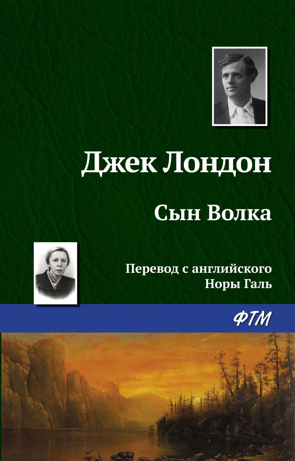 Обложка книги «Сын Волка»