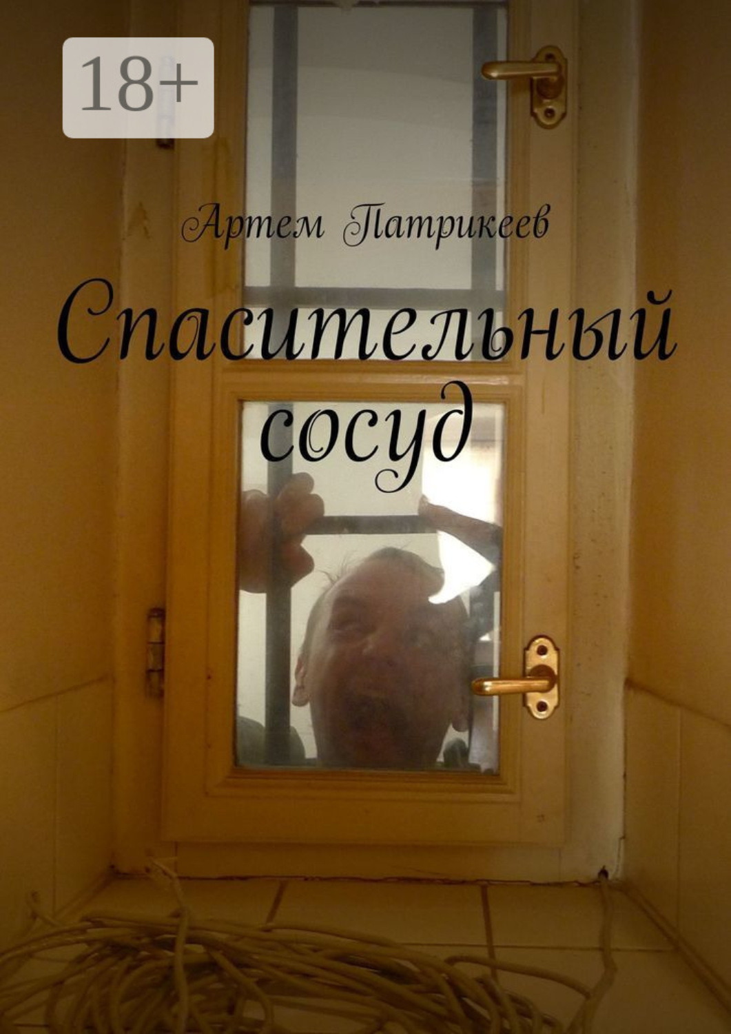 Обложка книги «Спасительный сосуд»