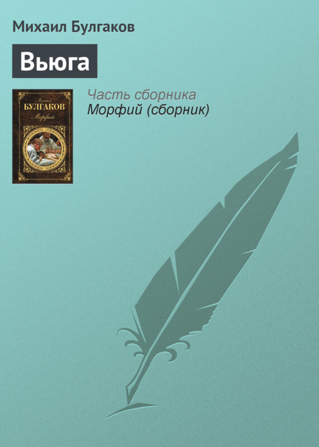 Обложка книги «Вьюга»