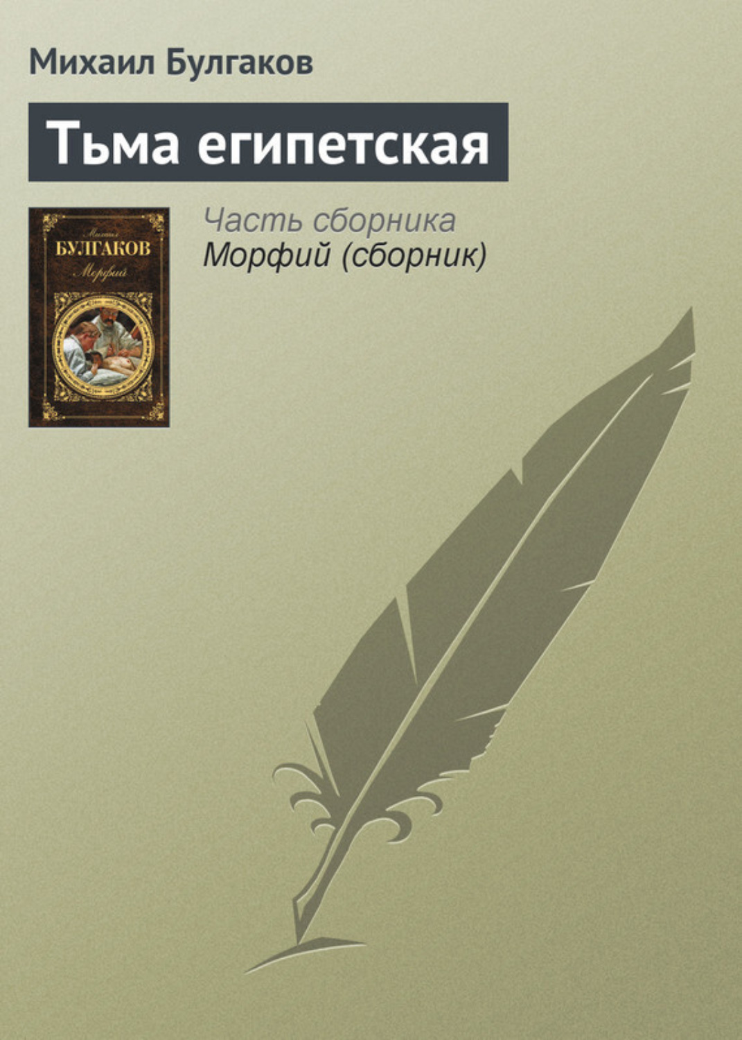 Обложка книги «Тьма египетская»