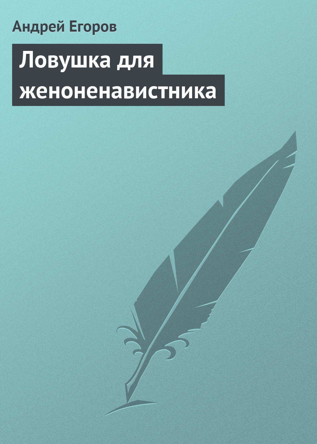 Обложка книги «Ловушка для женоненавистника»