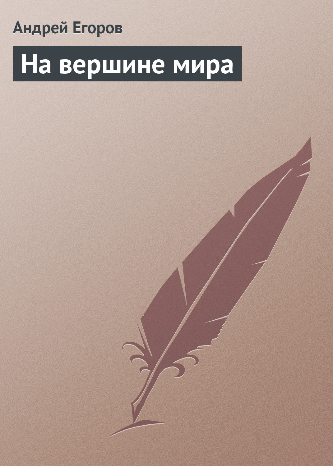 Обложка книги «На вершине мира»