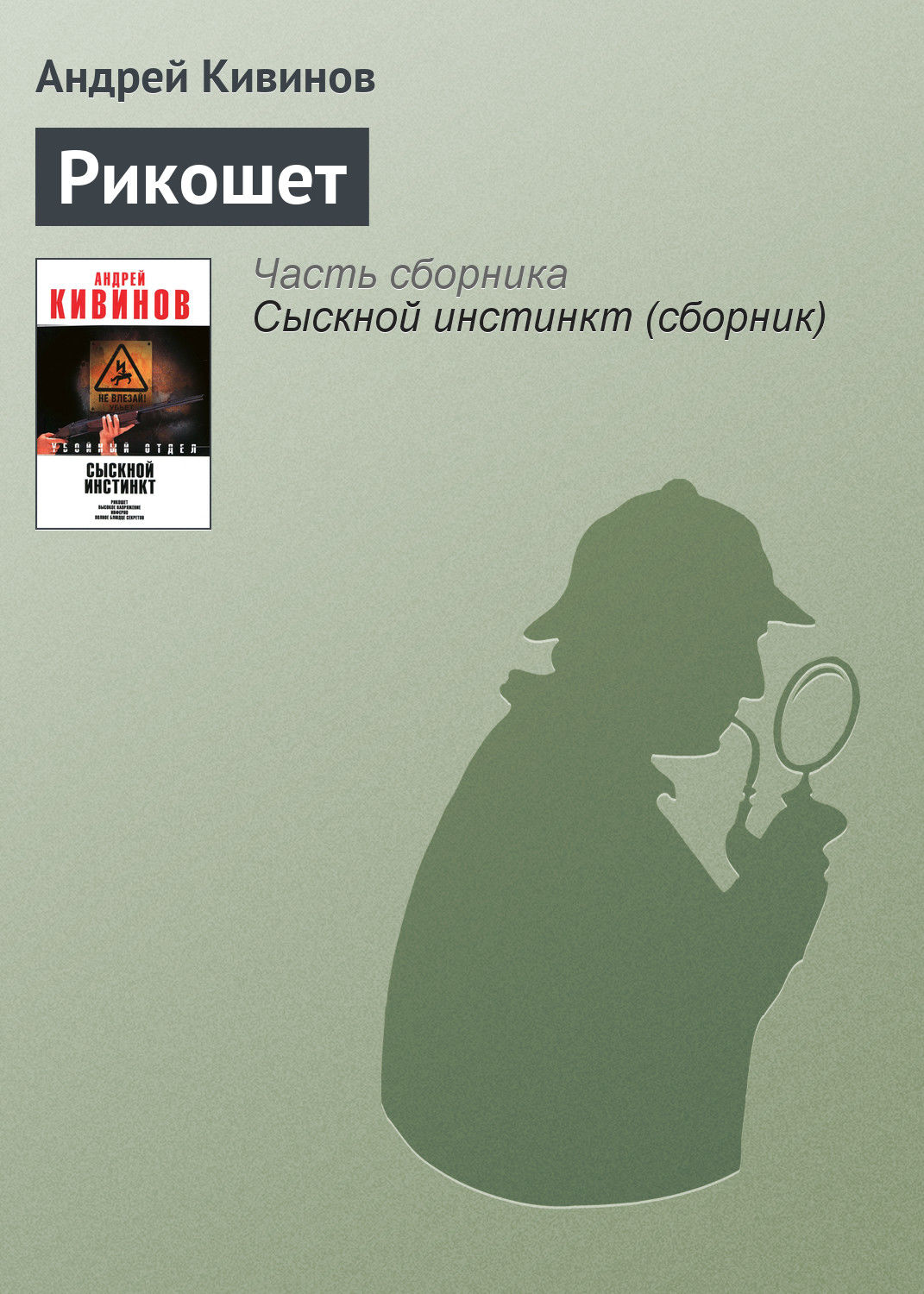 Обложка книги «Рикошет»