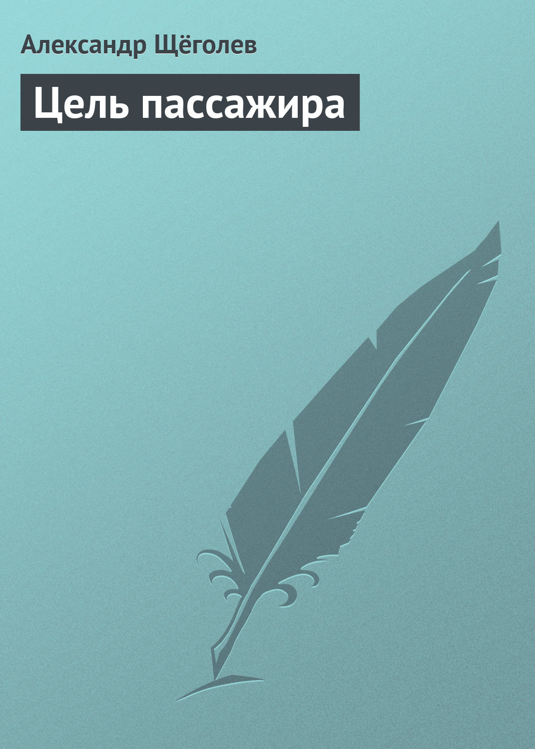Обложка книги «Цель пассажира»