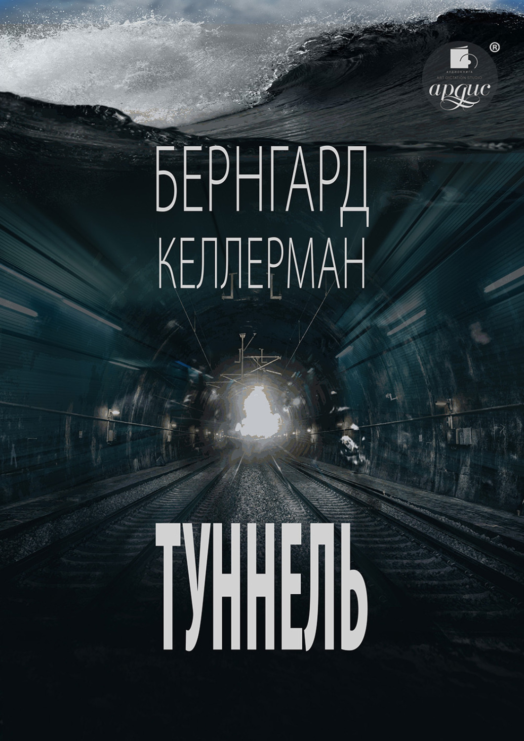 Обложка книги «Туннель»