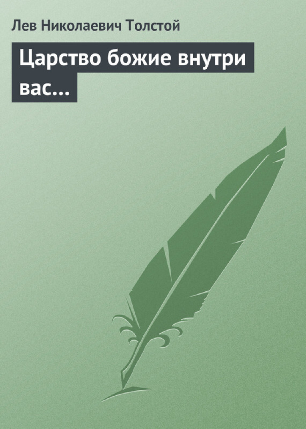 Обложка книги «Царство божие внутри вас…»