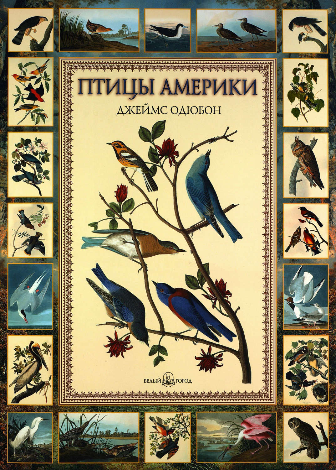 Обложка книги «Птицы Америки»