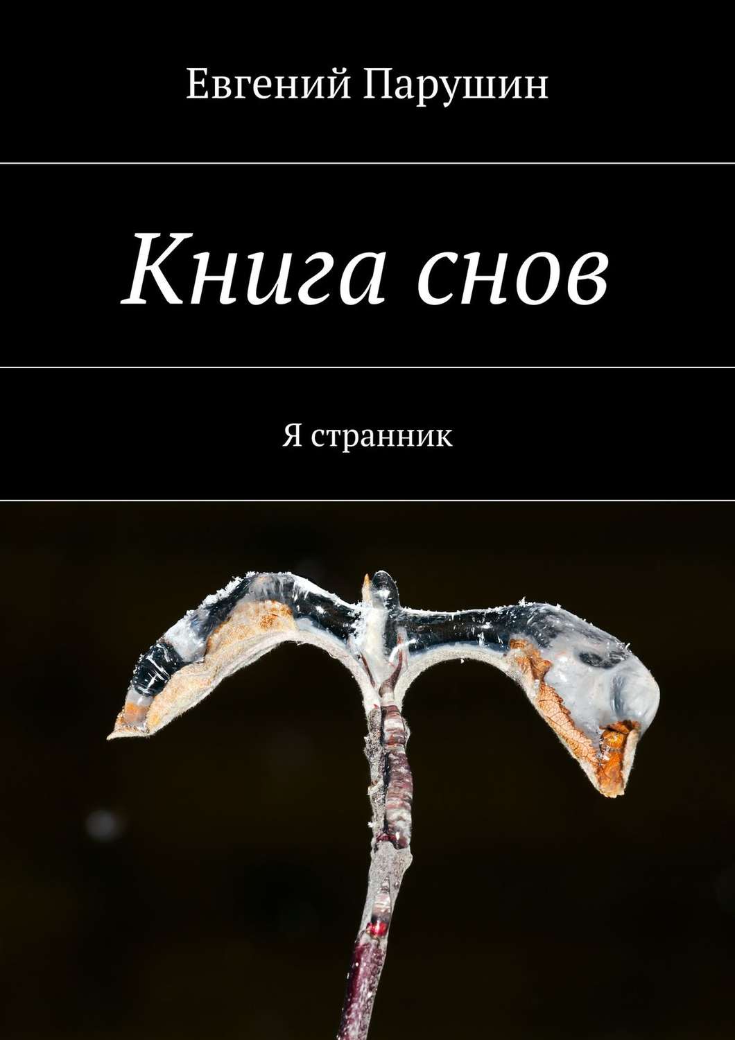 Обложка книги «Книга снов»