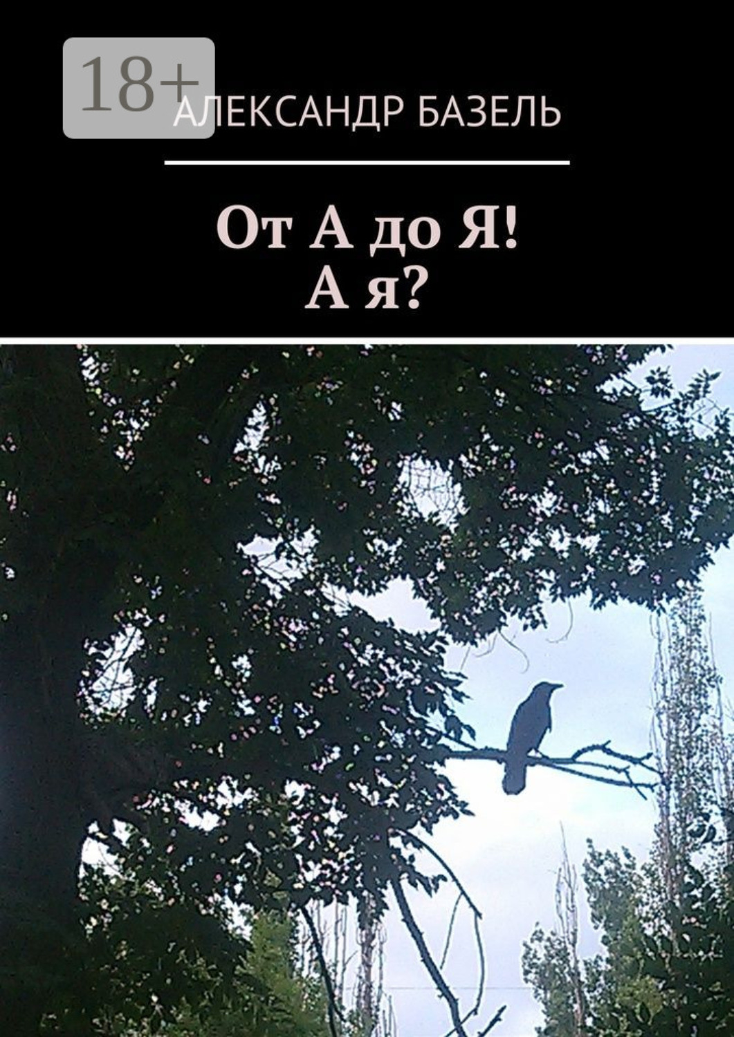 Обложка книги «От А до Я! А Я?»