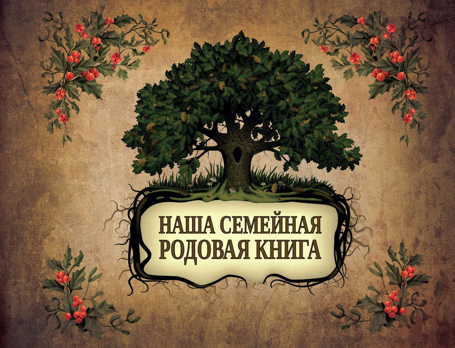 Обложка книги «Большая родословная книга нашей семьи. Наша семейная родовая книга»