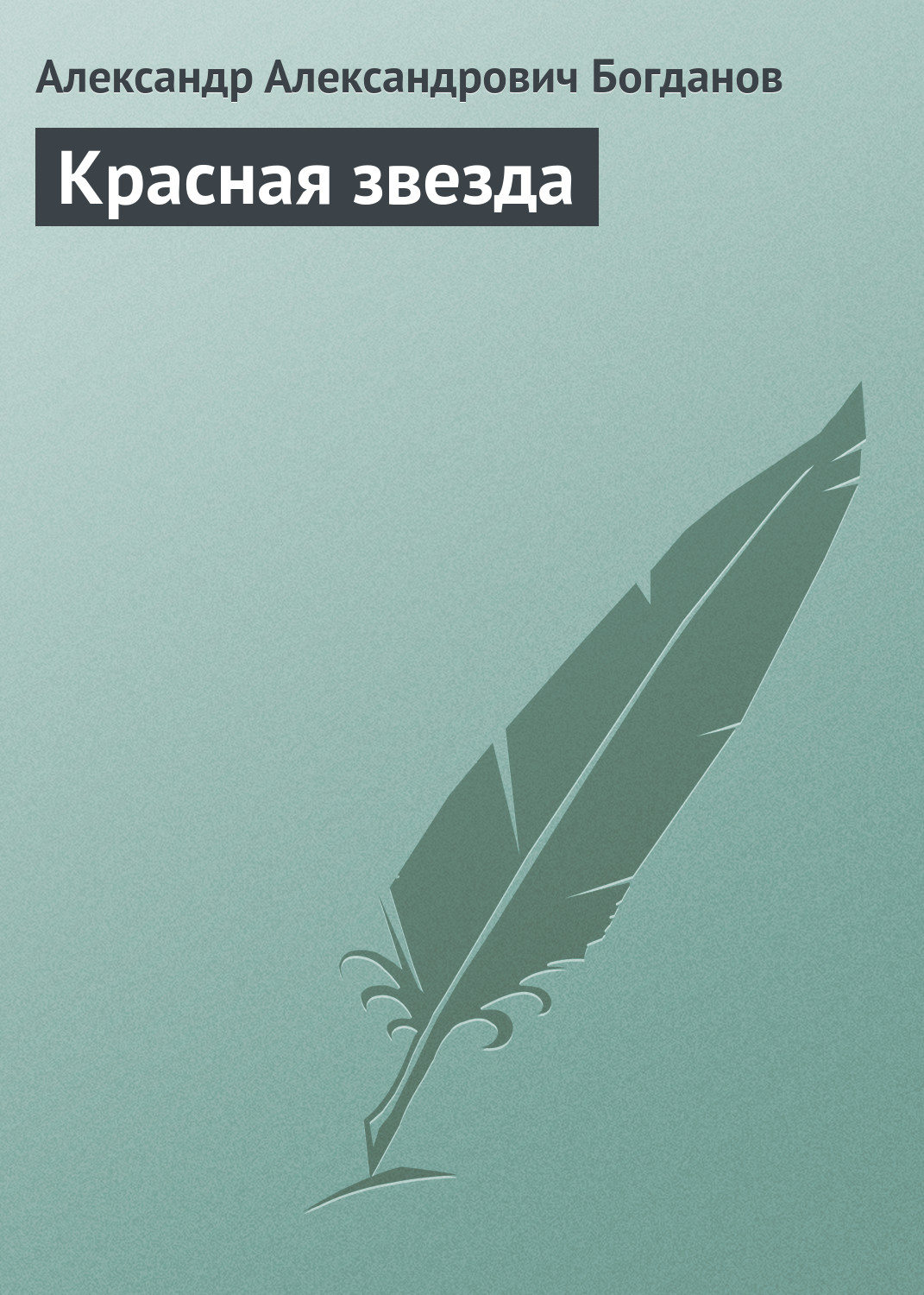 Обложка книги «Красная звезда»