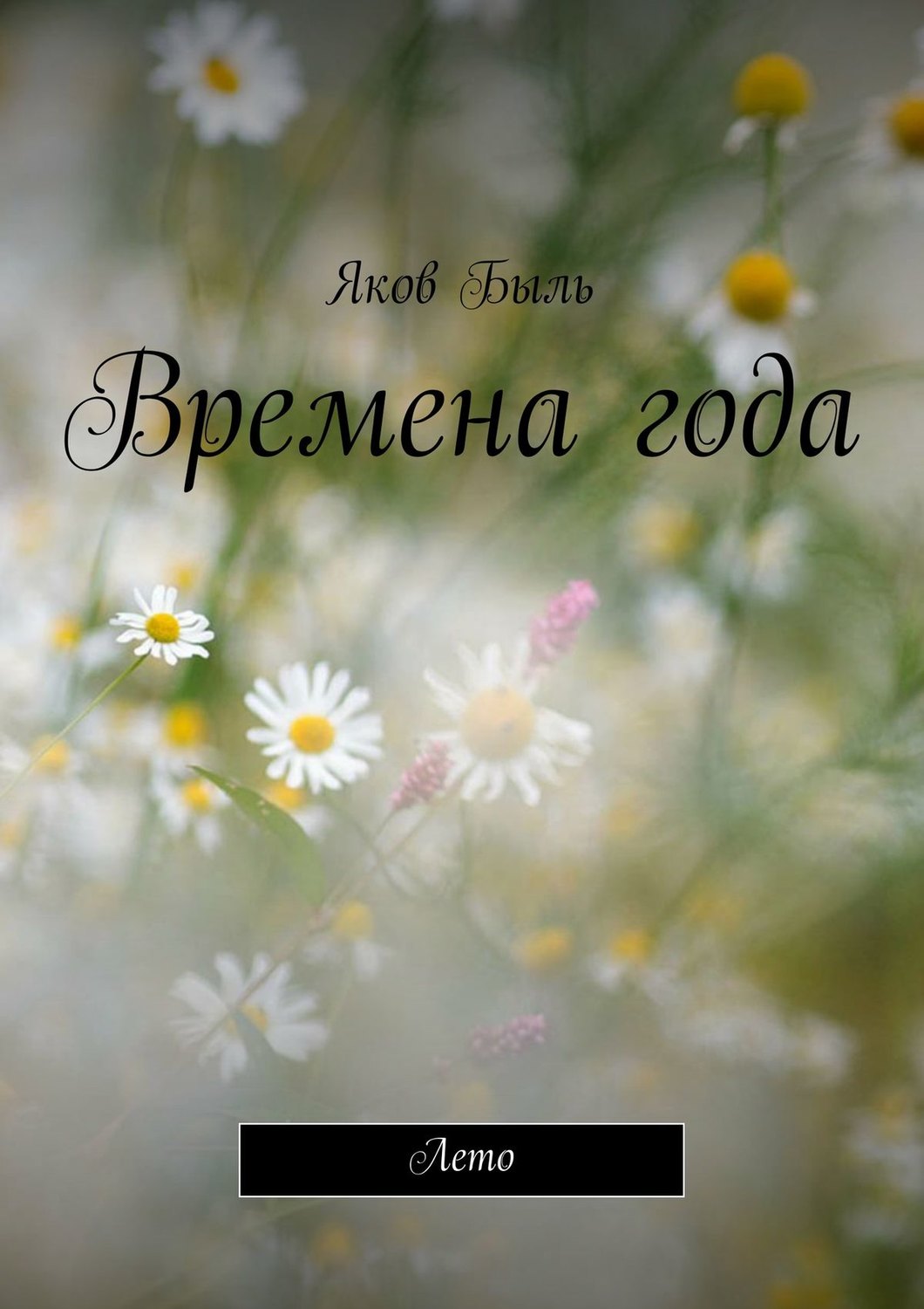 Обложка книги «Времена года. Лето»