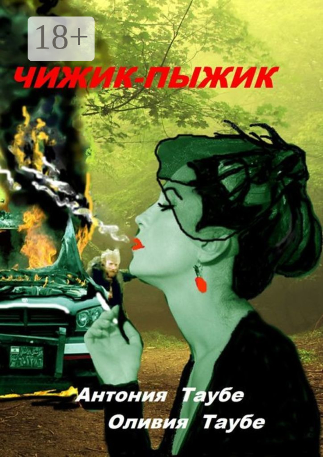 Обложка книги «Чижик-пыжик. Мистическая история»