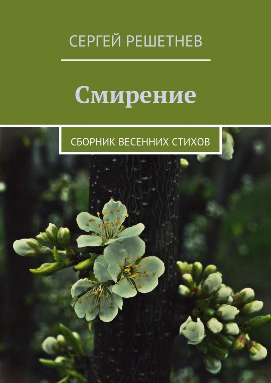 Обложка книги «Смирение»