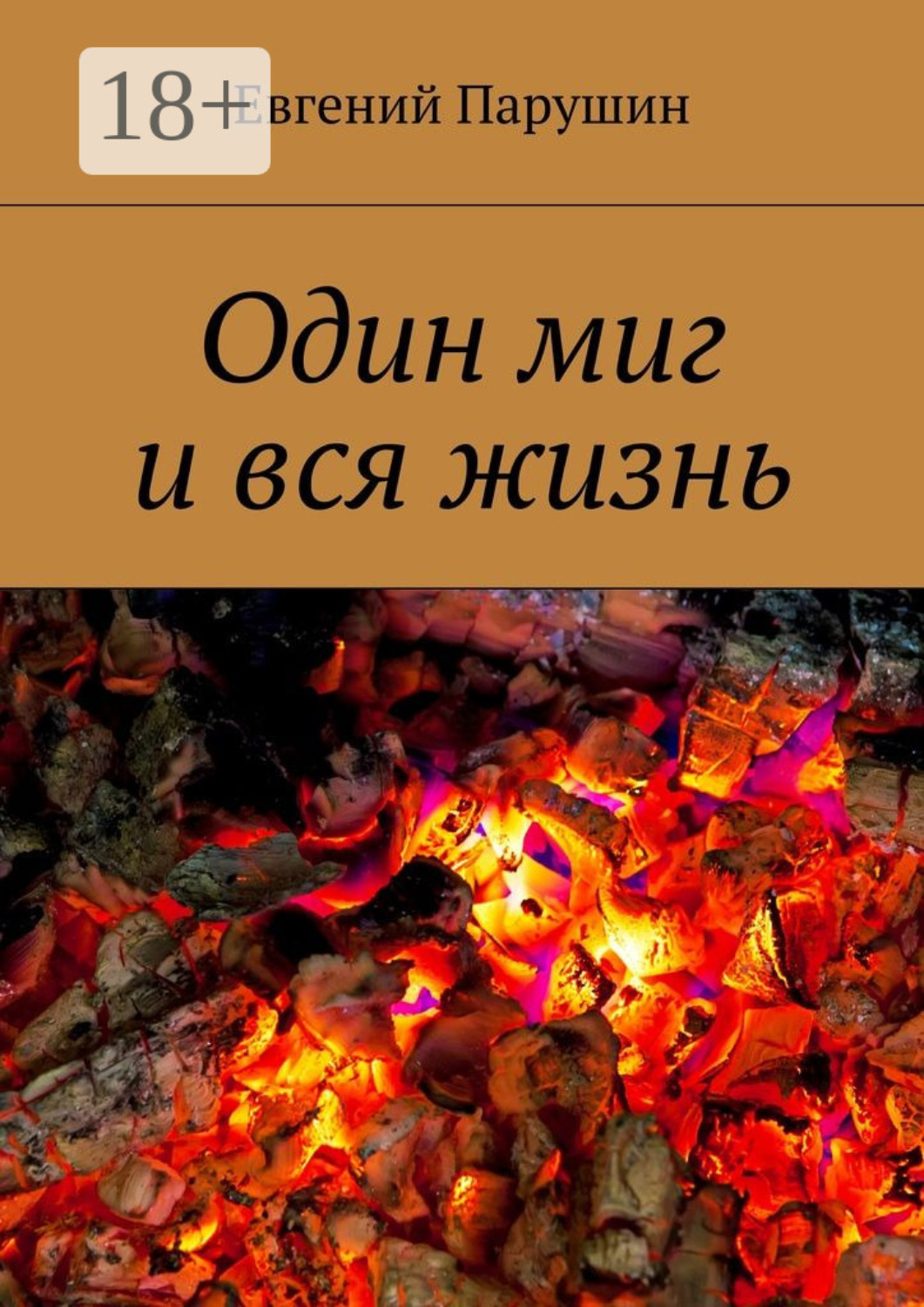 Обложка книги «Один миг и вся жизнь»