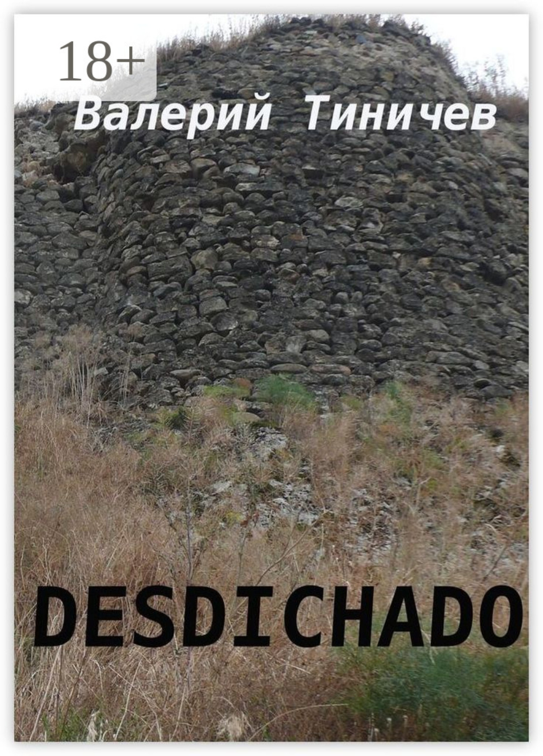 Обложка книги «Desdichado»