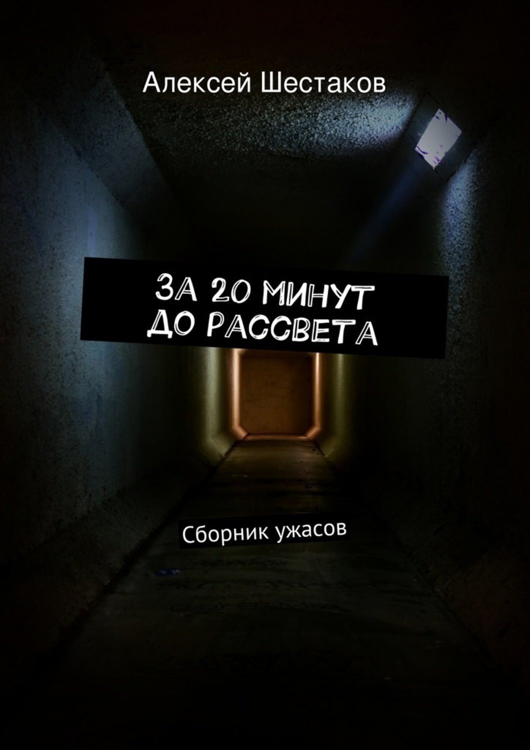 Обложка книги «За 20 минут до рассвета»