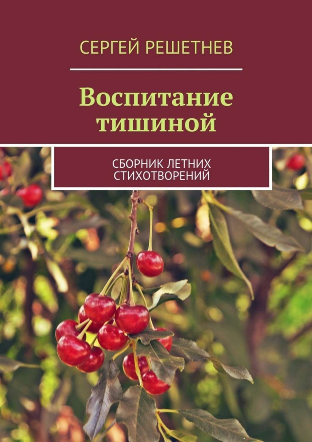 Обложка книги «Воспитание тишиной»