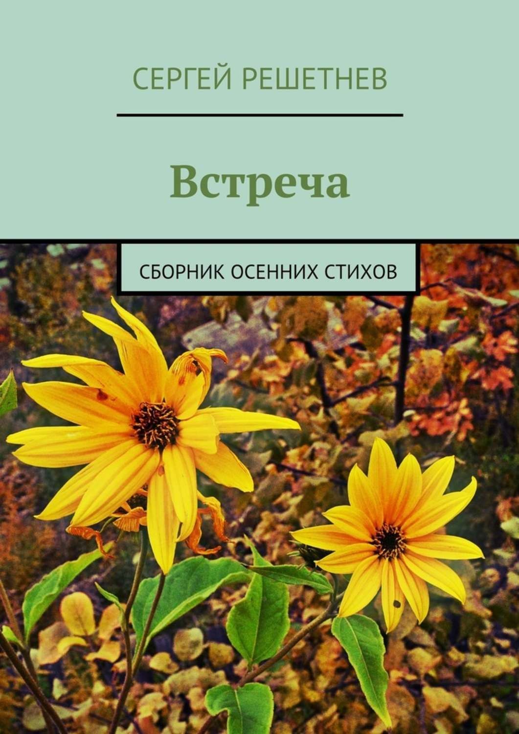 Обложка книги «Встреча»