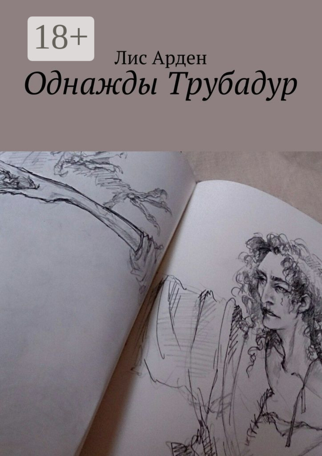 Обложка книги «Однажды Трубадур»