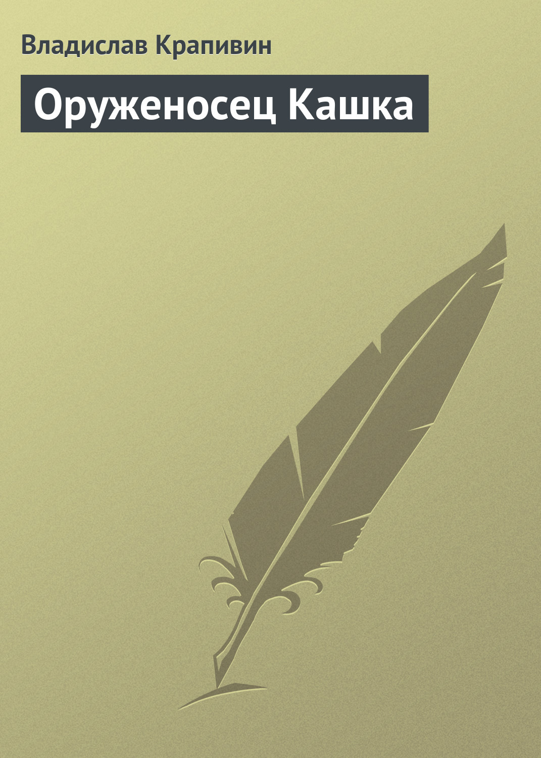 Обложка книги «Оруженосец Кашка»