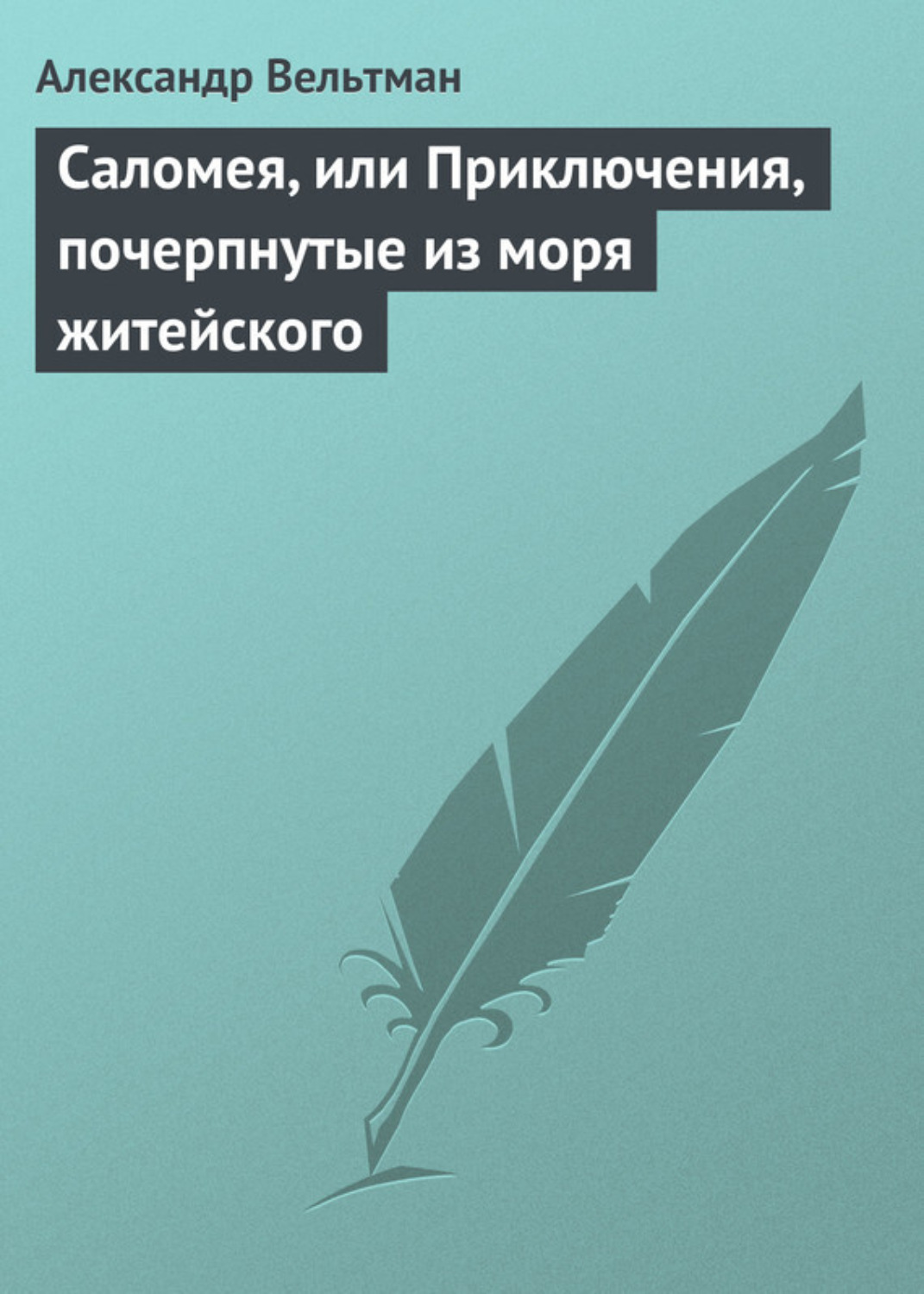 Обложка книги «Саломея, или Приключения, почерпнутые из моря житейского»