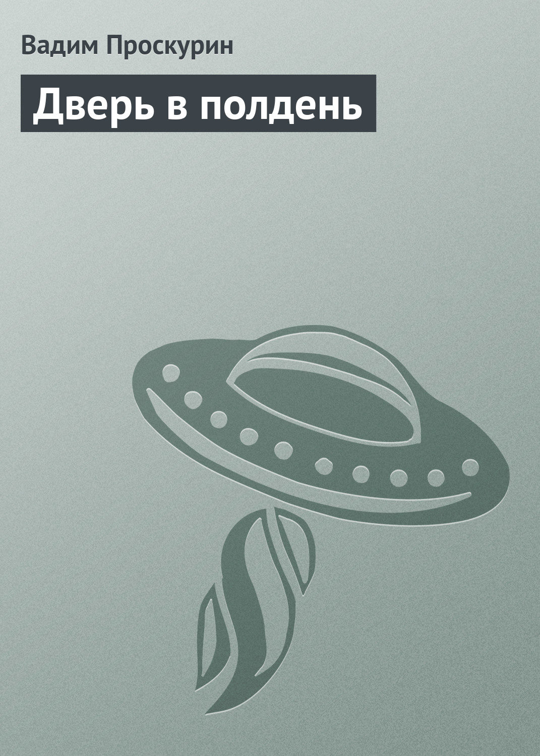 Обложка книги «Дверь в полдень»