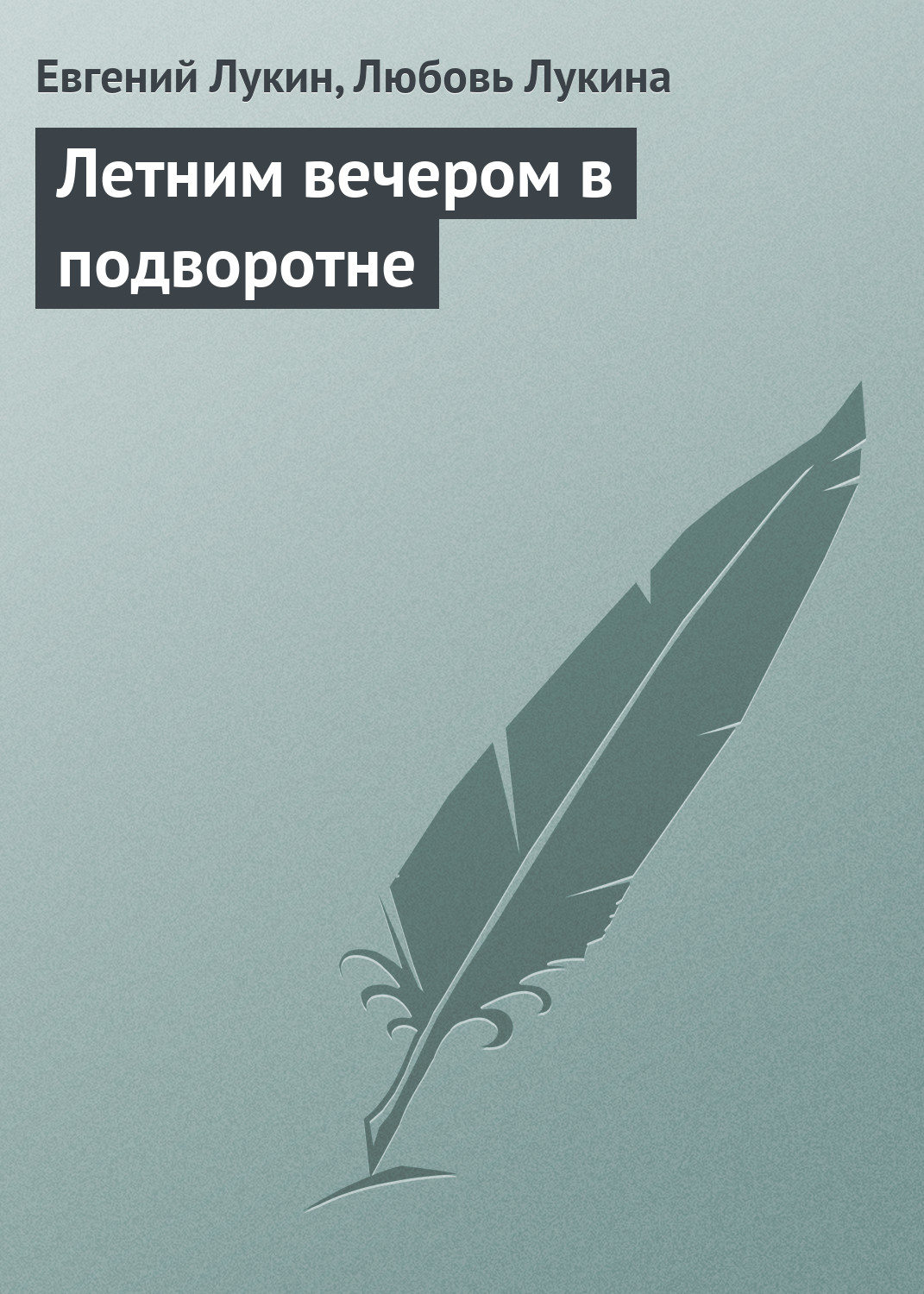 Обложка книги «Летним вечером в подворотне»